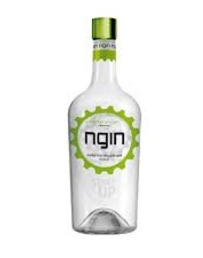 Gin Ngin London Dry 1 l