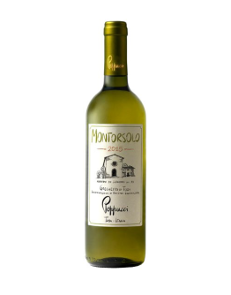 6 Grechetto di Todi doc 2024 - Montorsolo