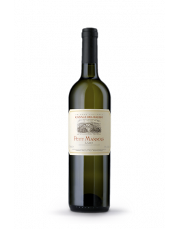 Petit Manseng IGT