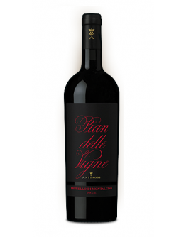 Brunello di Montalcino docg - Pian delle Vigne