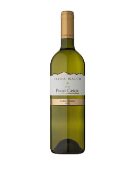 Pinot Grigio doc 2021