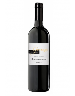 Pinot Nero doc 2016 - Gurnzan