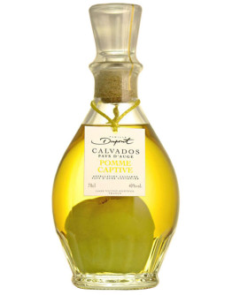 Calvados Pomme Captive in Caraffa