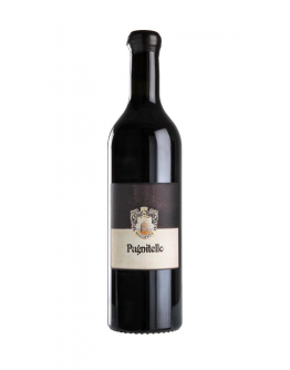 Toscana Rosso igt 2019 - Pugnitello