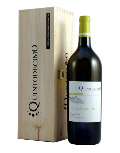 Falanghina Irpinia doc 2025 - Via del Campo Magnum in cassa
