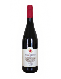 Sangiovese di Predappio Riserva doc 2013- Raggio Brusa