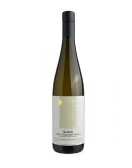 Riesling doc - Pliger