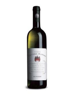 6 Sauvignon doc 2019