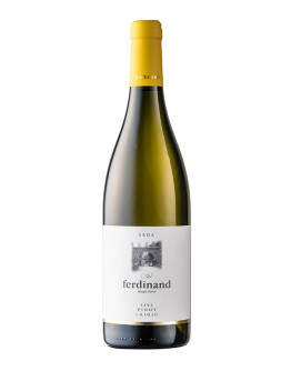 6 Pinot Grigio 2025 (Sini Pinot)