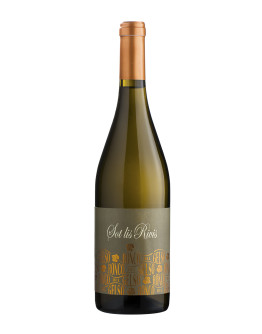 6 Pinot Grigio doc 2017 - Sot Lis Rivis