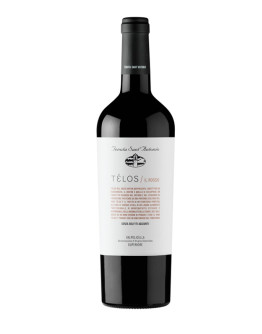 Valpolicella Superiore doc 2016 - Télos (senza solfiti)