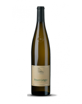 Pinot Grigio doc
