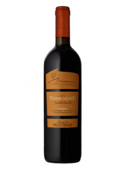 6 Cabernet doc 2018 Terre More