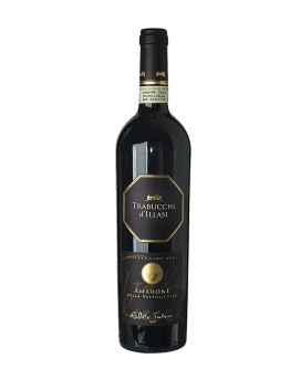 Amarone della Valpolicella Classico docg 2011 Magnum