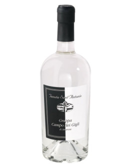 Grappa di Amarone Campo dei Gigli 0,5 l