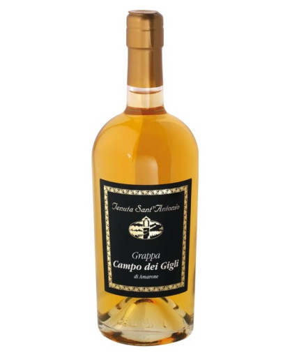 Grappa Rot di Amarone Campo dei Gigli 0,5 l
