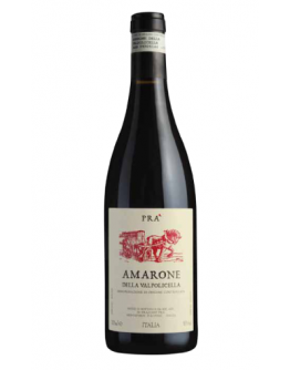 Amarone della Valpolicella doc 2013