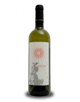 Verdicchio dei Castelli di Jesi doc - Il Bacco