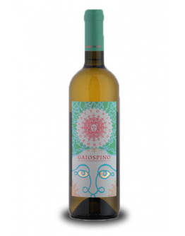  Verdicchio dei Castelli di Jesi doc - Gaiospino