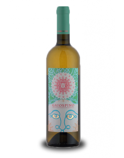  Verdicchio dei Castelli di Jesi doc - Gaiospino
