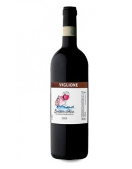 Barbera d'Alba 2020