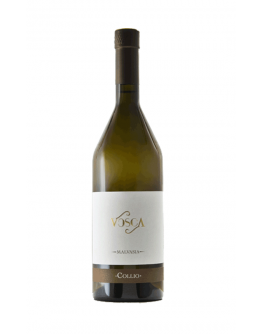Malvasia doc Isonzo