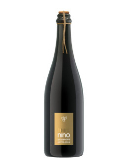 Prosecco DOCG Frizzante Nino