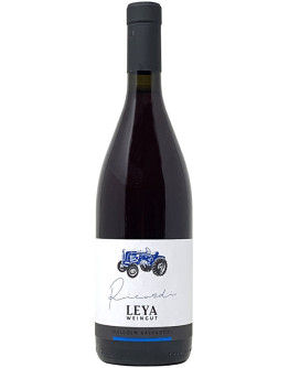 Schiava Meranese Alto Adige igt 2020 - Ricordi etichetta blu Magnum