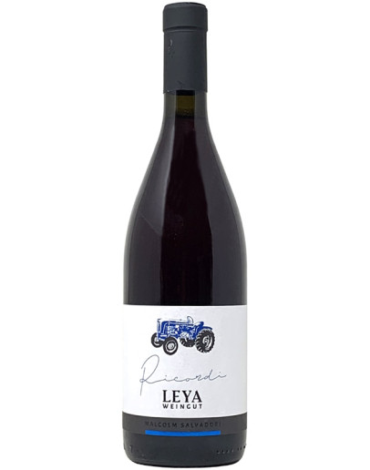 Schiava Meranese Alto Adige igt 2020 - Ricordi etichetta blu Magnum