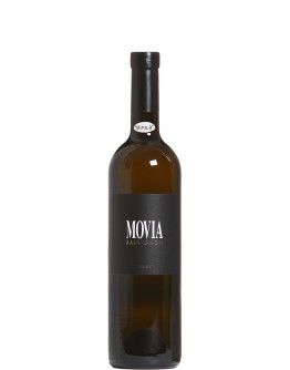 Sauvignon Blanc 