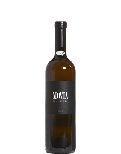 Sauvignon Blanc 
