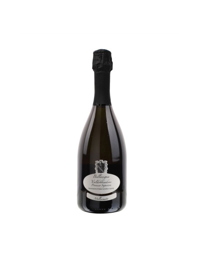 Prosecco Dry Millesimato docg - Bellavigna