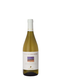 12 Valbona Verdicchio Di Matelica D.O.C 