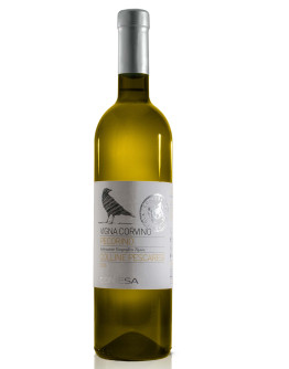 6 Pecorino D'abruzzo D.O.C.