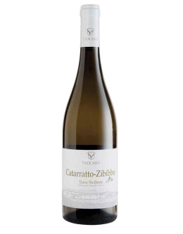 6 Catarratto/Zibibbo  Terre Siciliane I.G.T