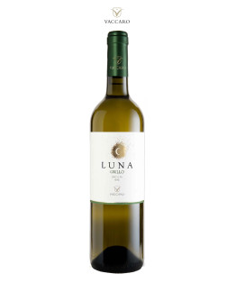 6 Grillo D.O.C Sicilia