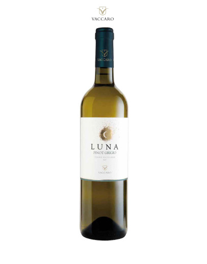 6 Pinot Grigio Terre Siciliane I.G.T