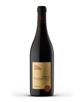 6 Amarone Della Valpolicella D.O.C.G "Anfora"