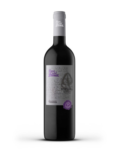 6 Merlot I.G.T -Torre Del Falasco