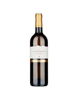 Sauvignon 2021